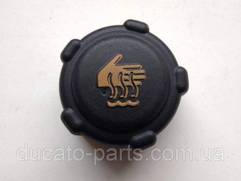 Кришка розширювального бачка Renault Kangoo 8200048024 MMX1314 фото